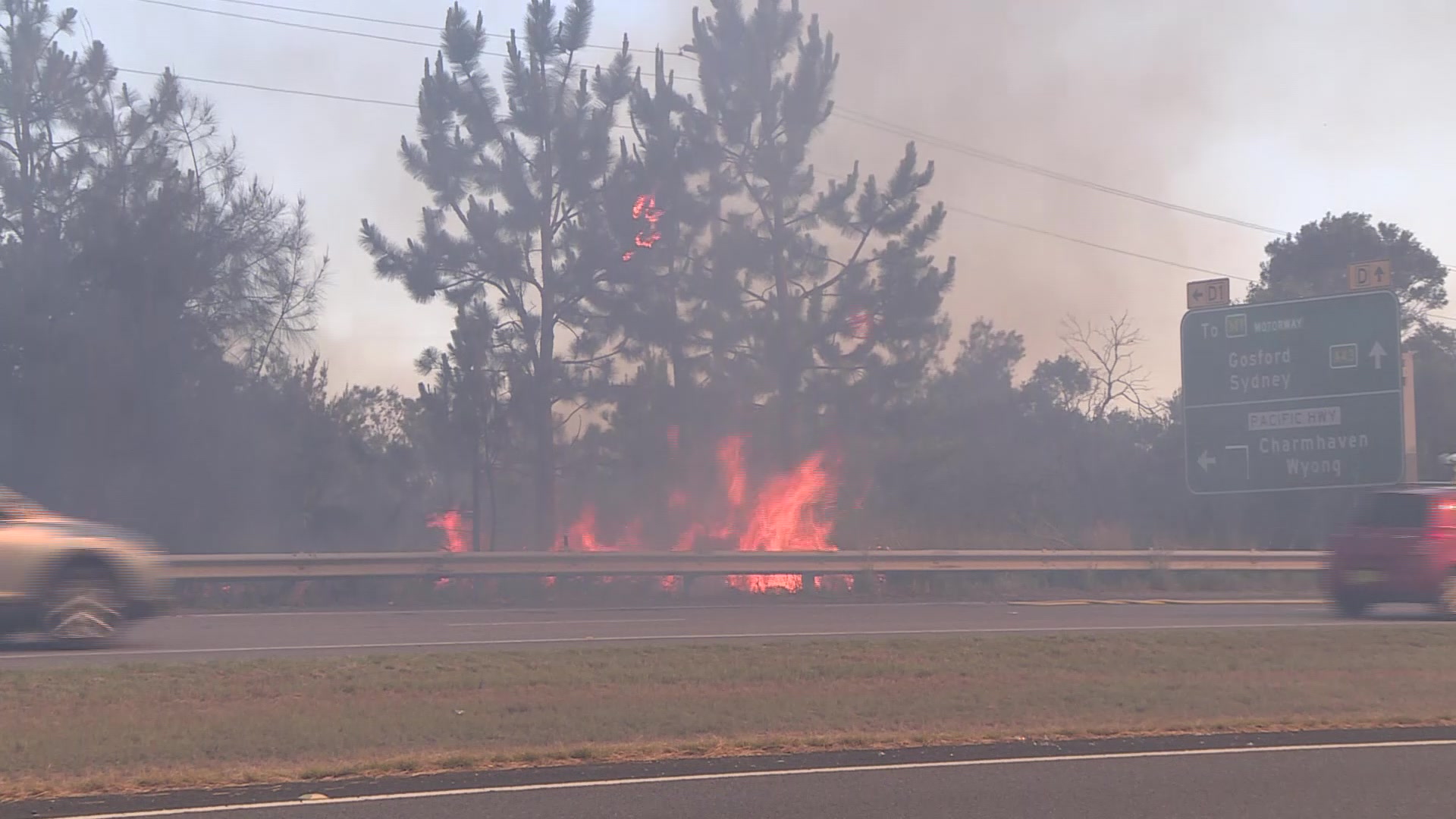 Fire crews remain on scene at Doylson bushfire