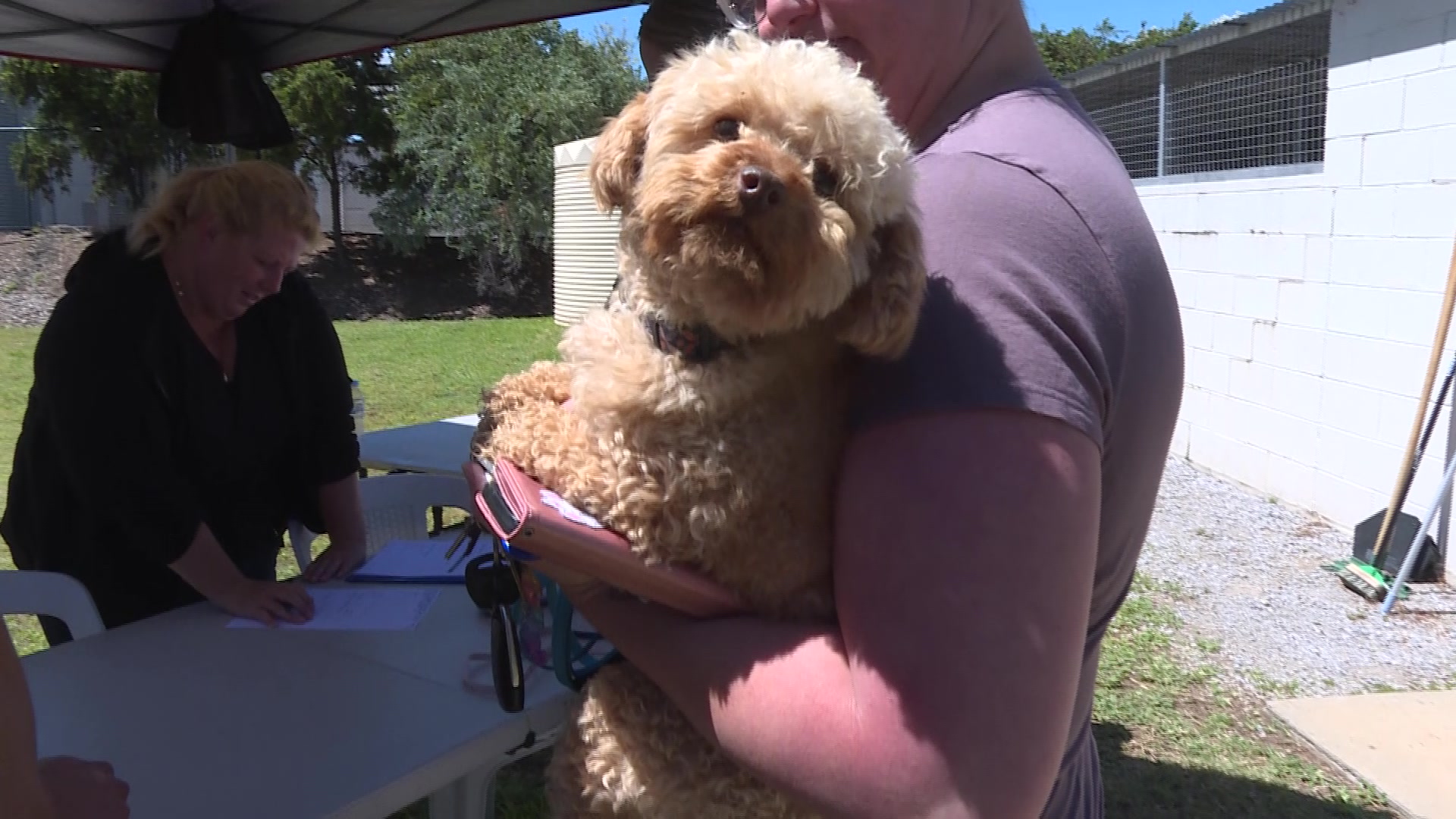 Healthy Pet Day brings in almost 100 animals for check ups