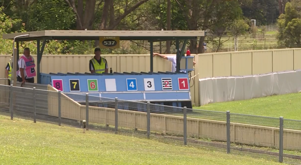 Taree greyhound ‘super track’ designs get the tick of approval