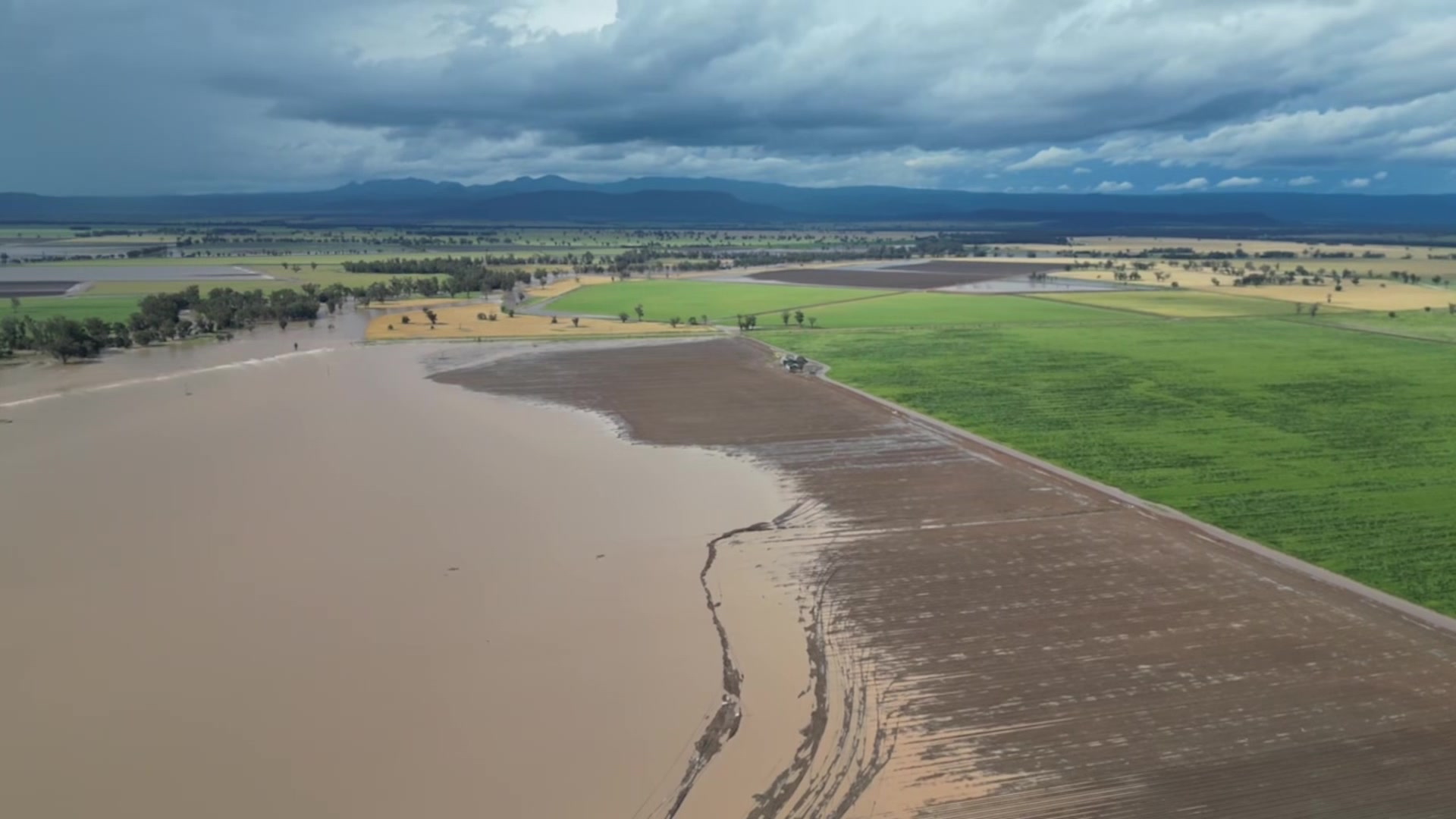 Flooding washes away Baan Baa cotton but hope hasn’t faded