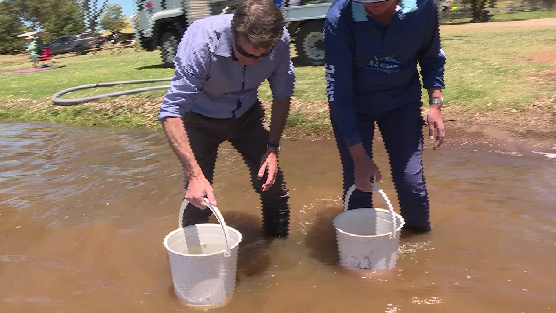 Lake Keepit replenished with 40,000 Murray Cod