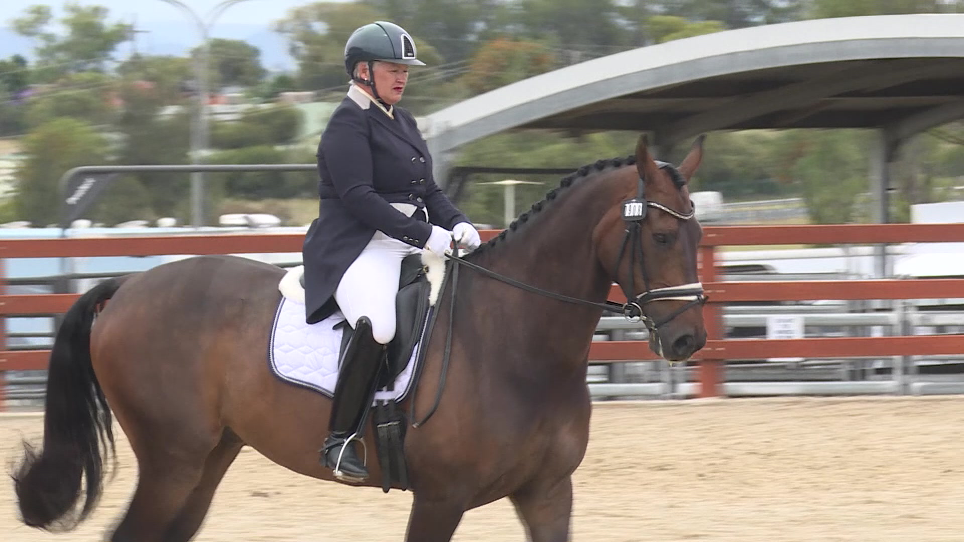 First day of Tamworth’s Dressage Showcase