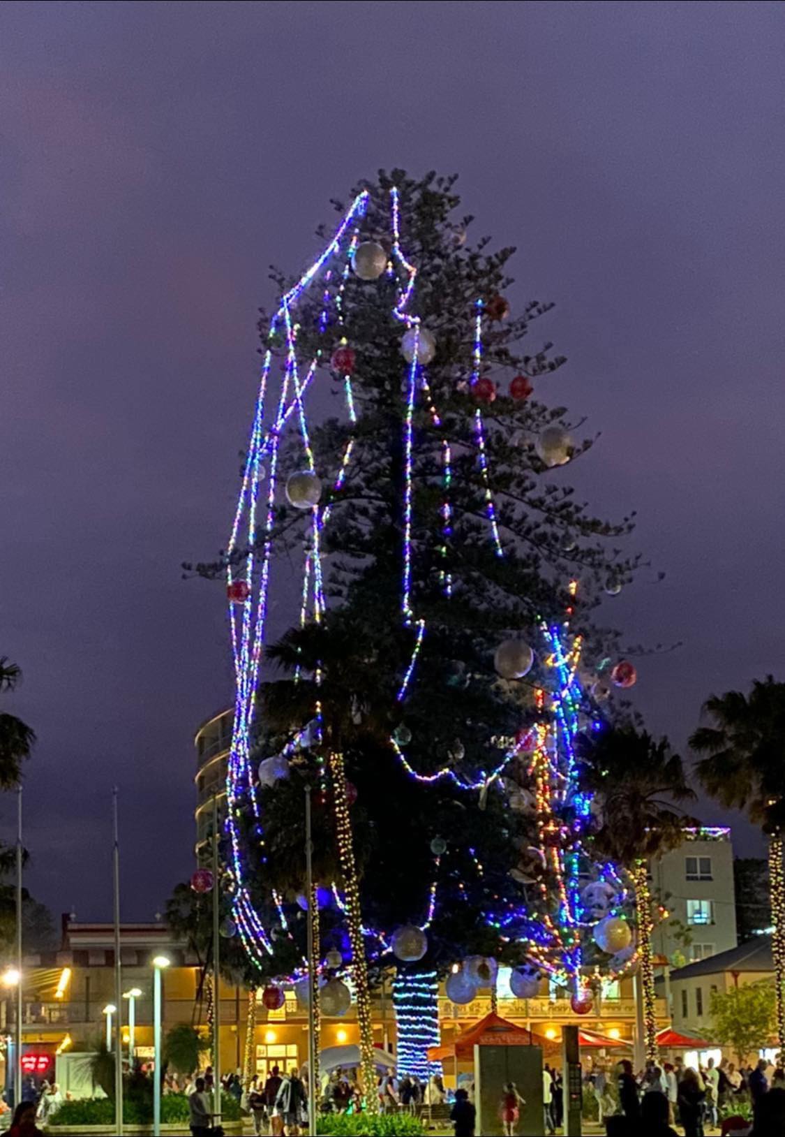 Remedy on the way for Port Macquarie’s ‘very sad’ Christmas Tree