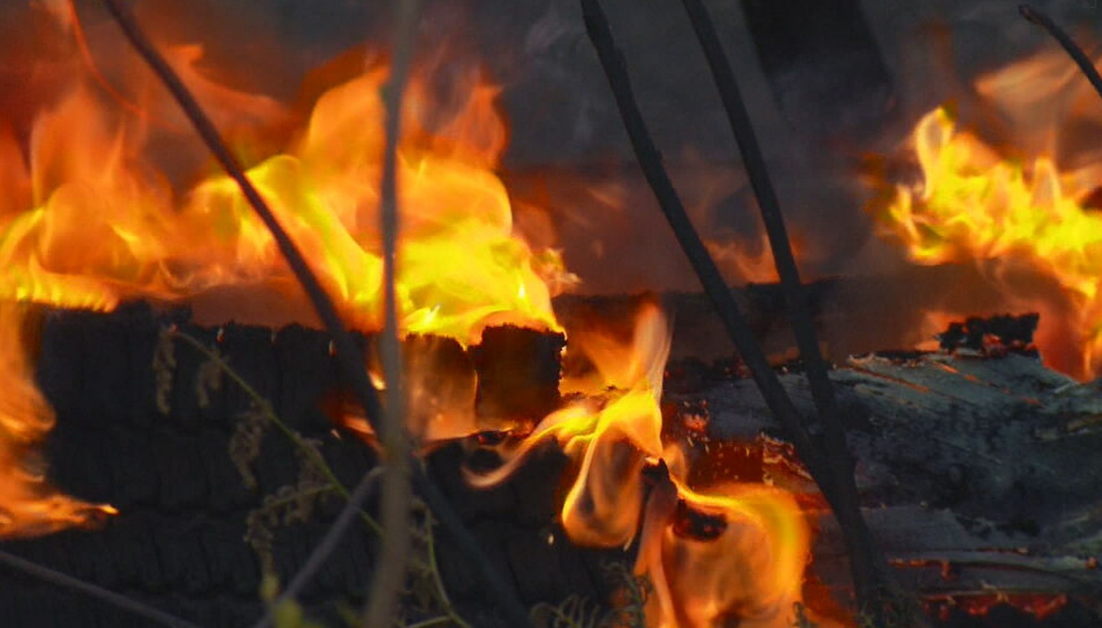 Police investigate cause of bushfire near Belmont