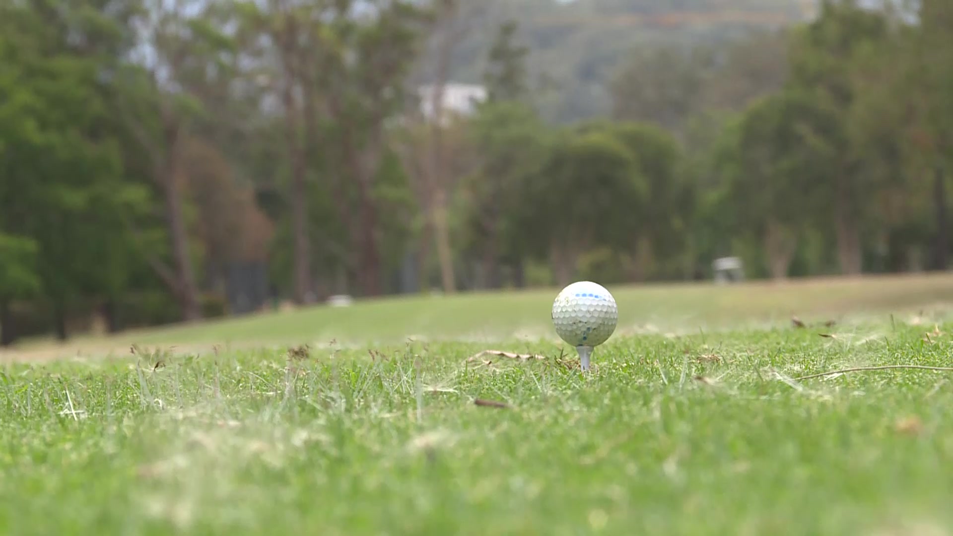 Rain can’t keep fundraisers off the fairway