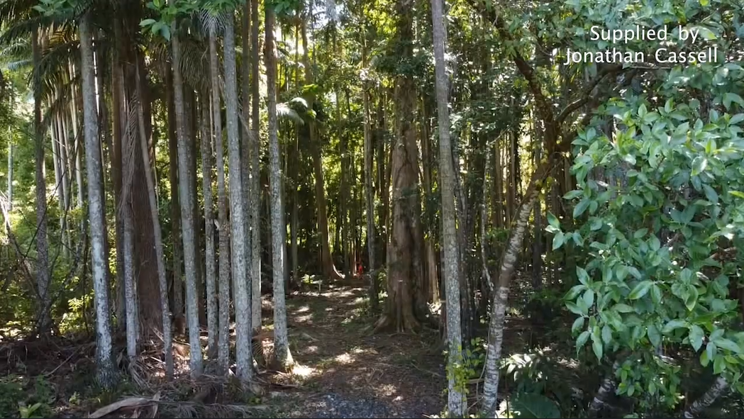 Motion to save “Grandpa’s Scrub” to be put forward at council meeting