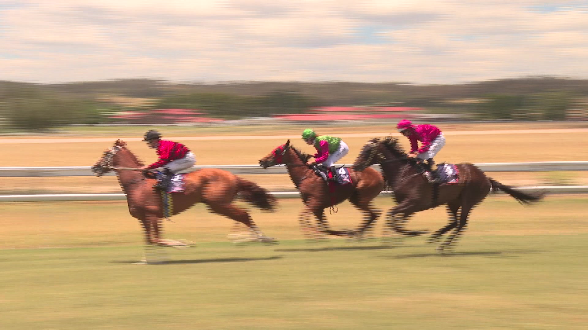 Pepper’s Ghost wins the Armidale Cup